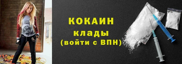 шишки Кинешма