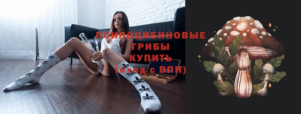 шишки Кинешма