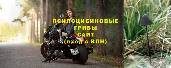 шишки Кинешма