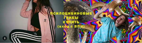 шишки Кинешма