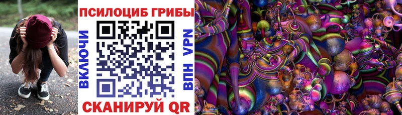 KRAKEN ссылка  Орлов  Псилоцибиновые грибы мицелий 